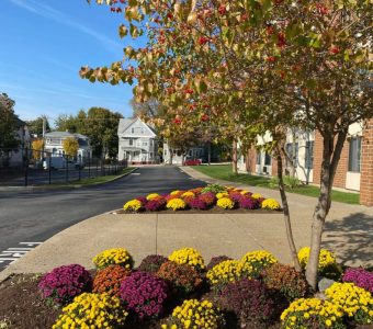 best central falls landscaping near me-014